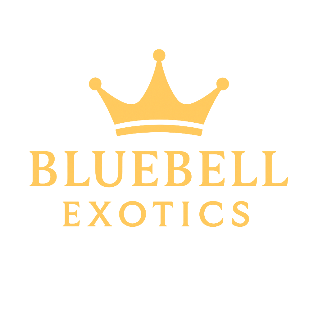 Bluebell Exotics