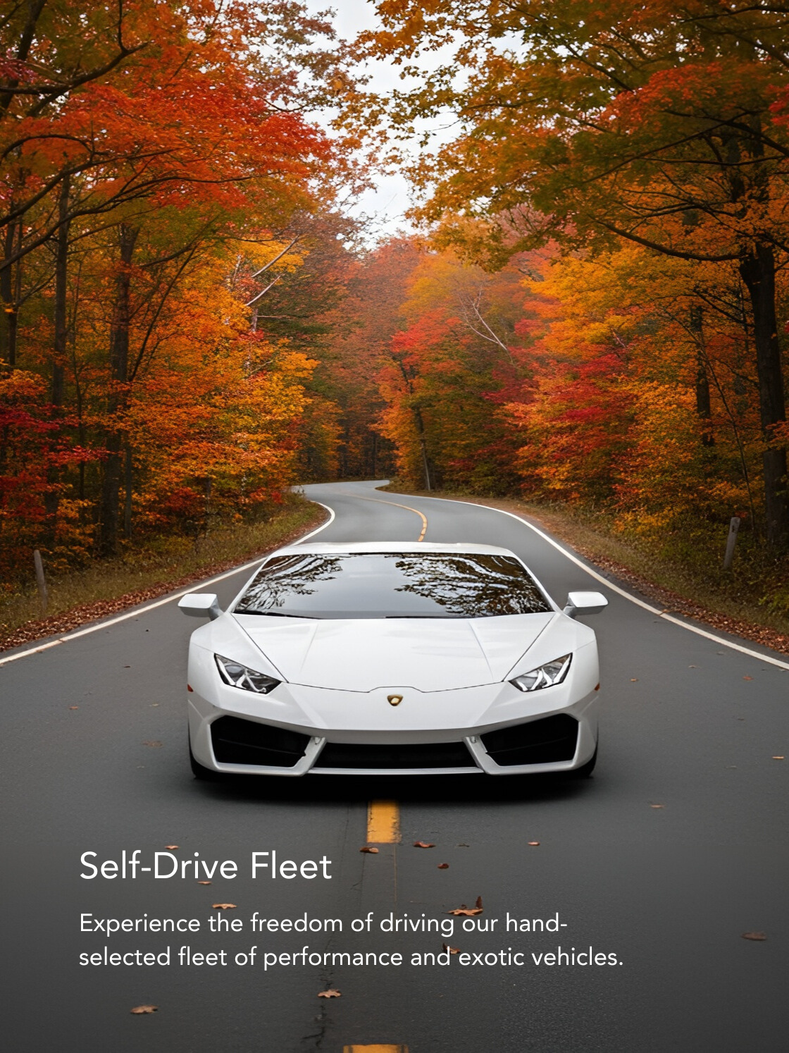 Self-Drive Fleet